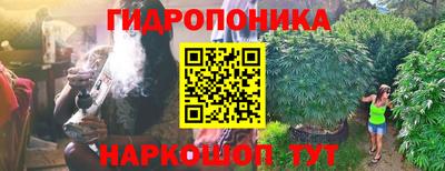 дмт Можайск