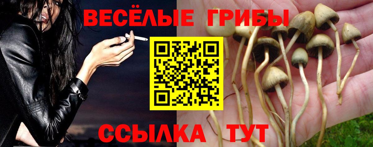 Псилоцибиновые грибы мухоморы Уссурийск